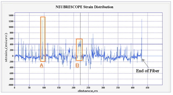 NEUBRESCOPE Strain Distribution