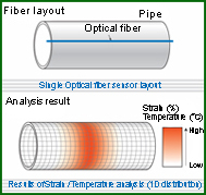 3D in-situ analysis 1